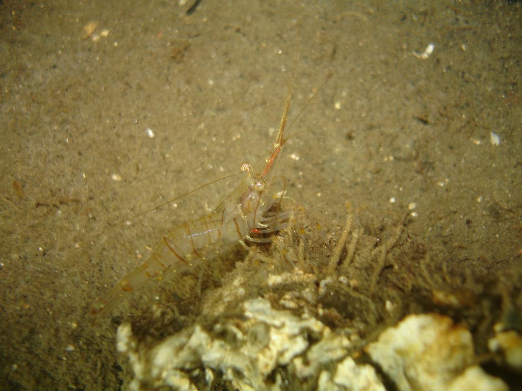2008-06-28 12-10-04 H.JPG